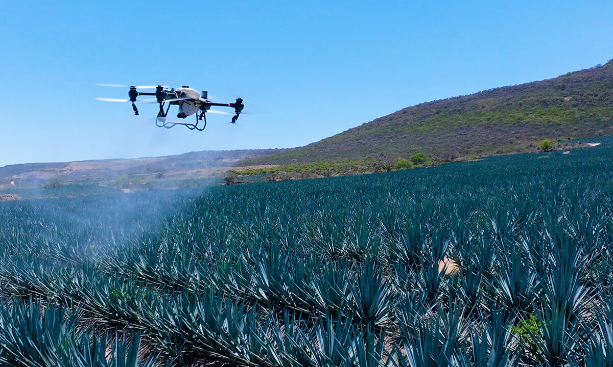 Tarlada çalışan DJI AGRAS tarım drone'u